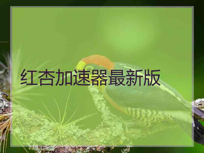 红杏加速器最新版