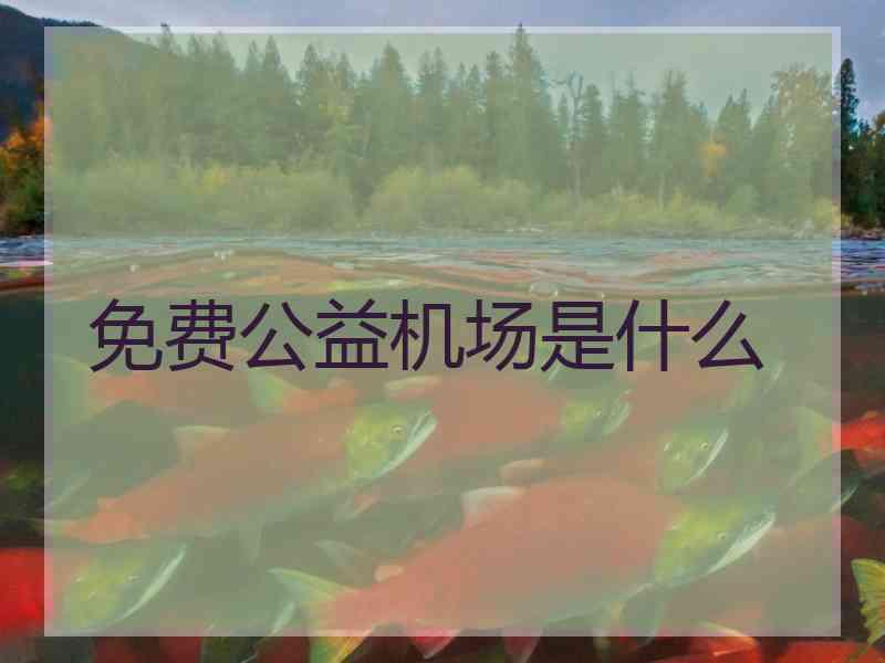 免费公益机场是什么