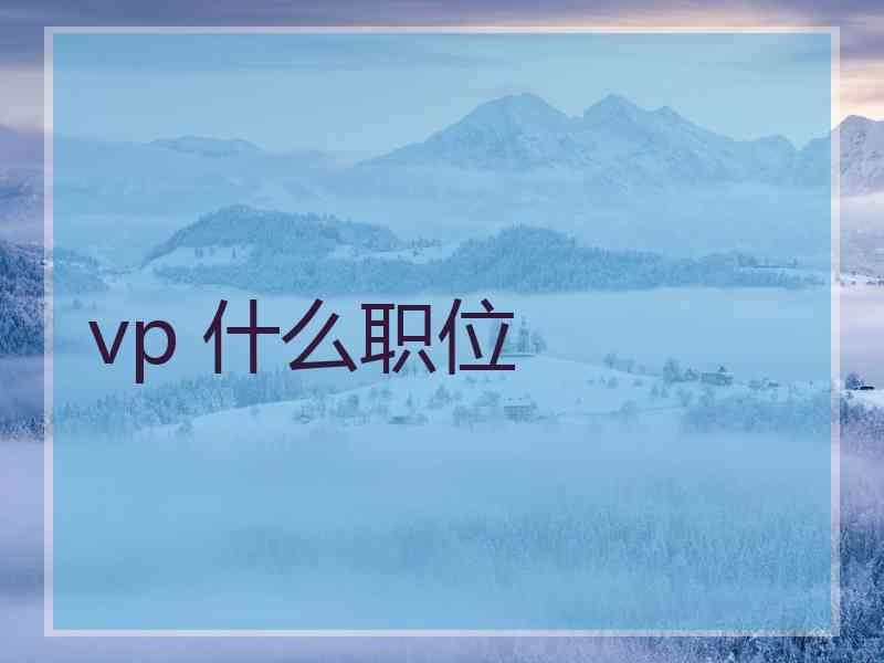 vp 什么职位