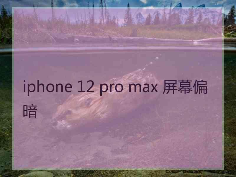 iphone 12 pro max 屏幕偏暗