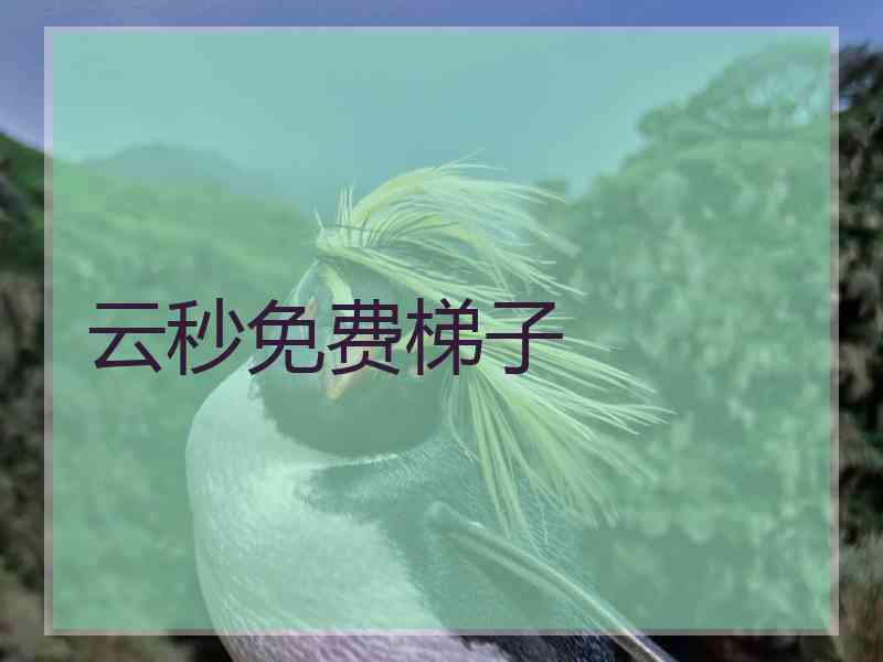 云秒免费梯子