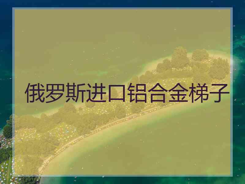 俄罗斯进口铝合金梯子