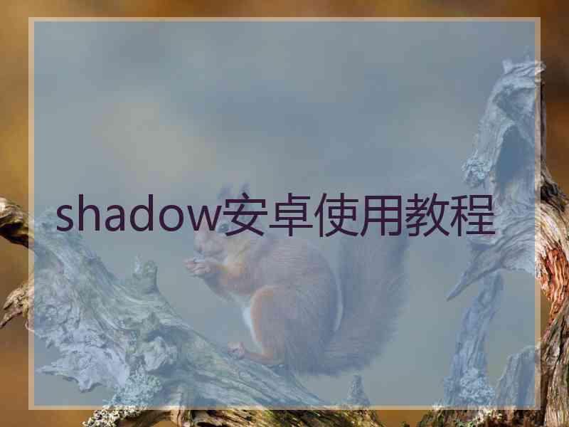 shadow安卓使用教程