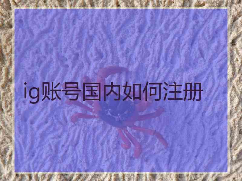 ig账号国内如何注册