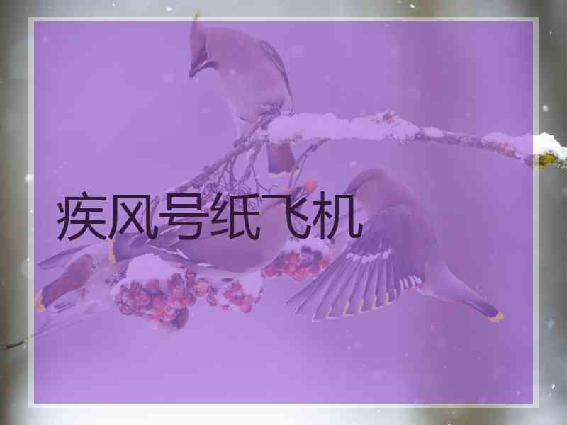 疾风号纸飞机