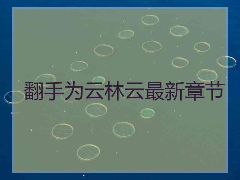翻手为云林云最新章节