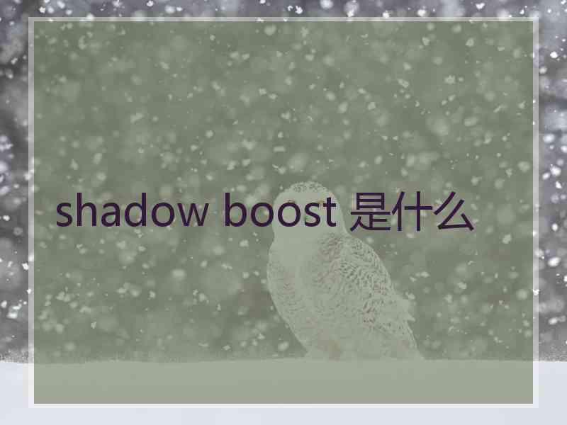 shadow boost 是什么
