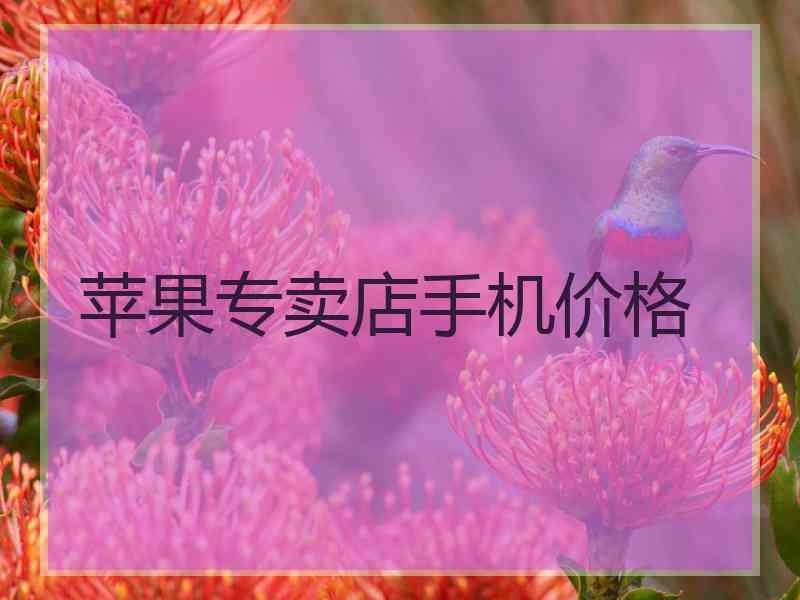 苹果专卖店手机价格