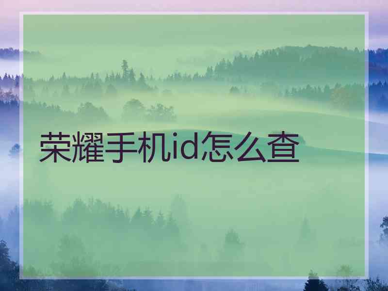 荣耀手机id怎么查