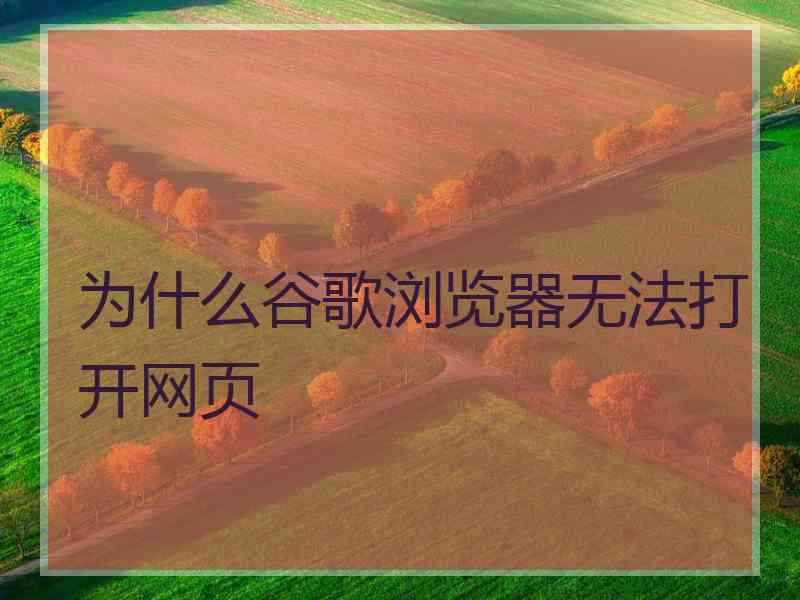 为什么谷歌浏览器无法打开网页
