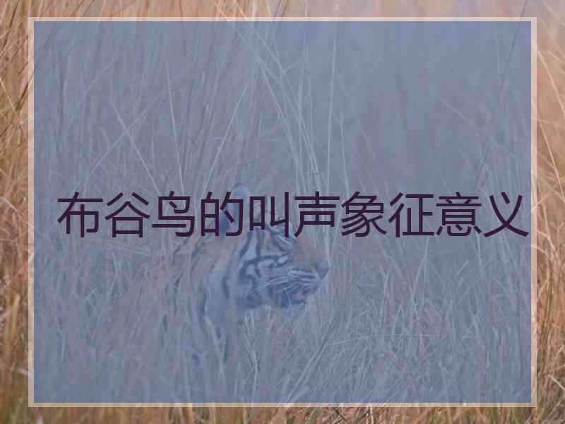 布谷鸟的叫声象征意义