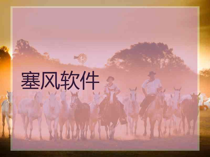 塞风软件