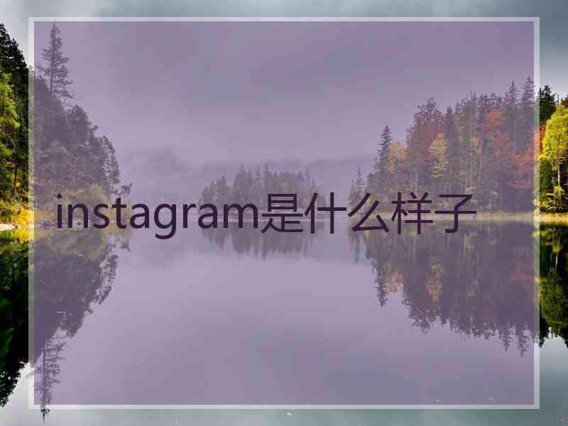 instagram是什么样子