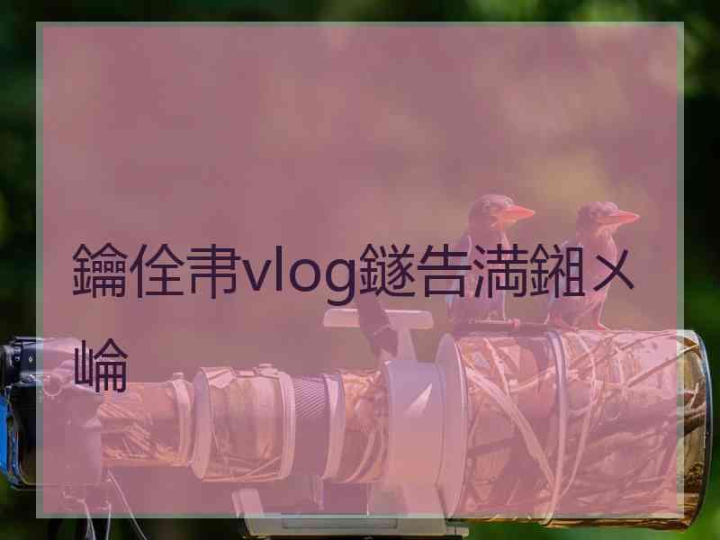 鑰佺帇vlog鐩告満鎺ㄨ崘