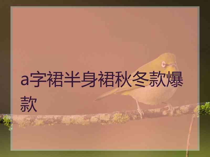 a字裙半身裙秋冬款爆款