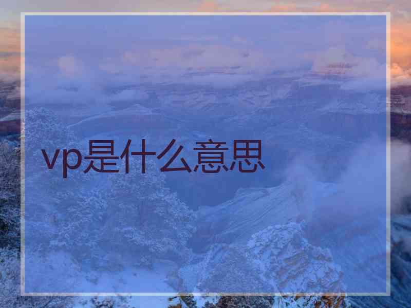 vp是什么意思