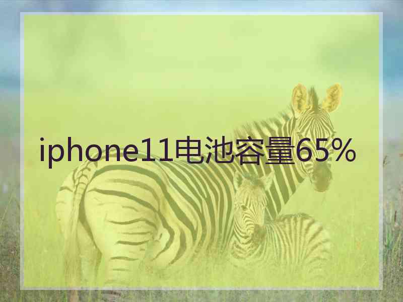 iphone11电池容量65%
