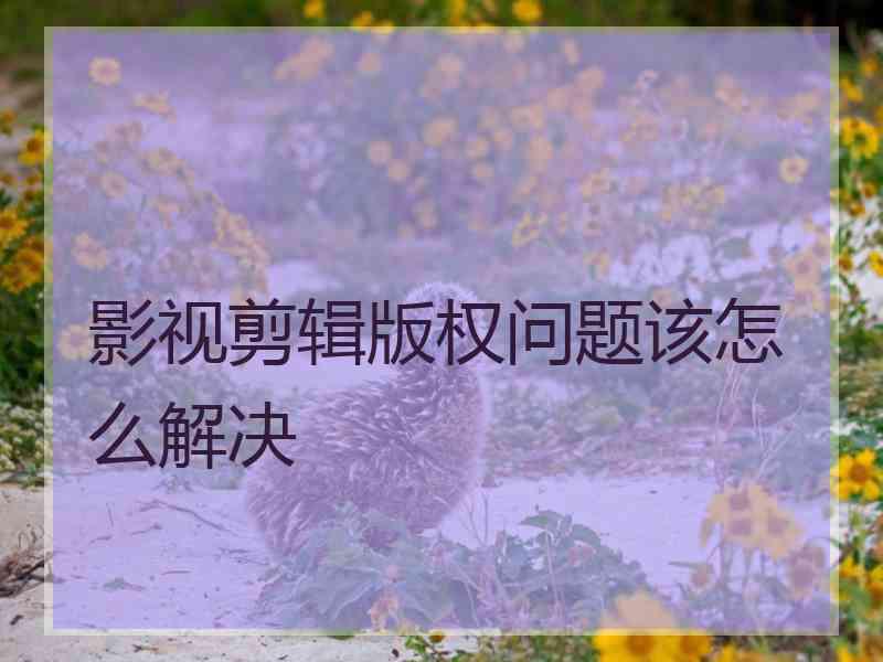 影视剪辑版权问题该怎么解决