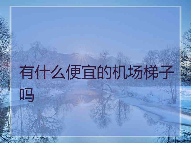 有什么便宜的机场梯子吗