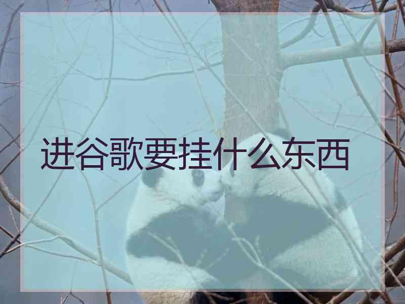 进谷歌要挂什么东西