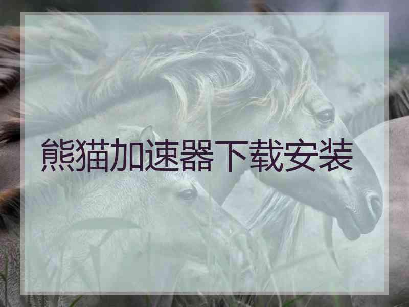 熊猫加速器下载安装