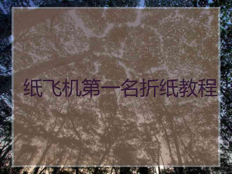 纸飞机第一名折纸教程