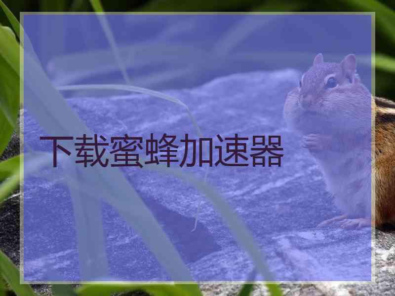 下载蜜蜂加速器