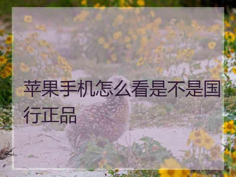 苹果手机怎么看是不是国行正品
