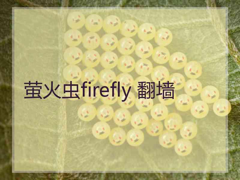 萤火虫firefly 翻墙