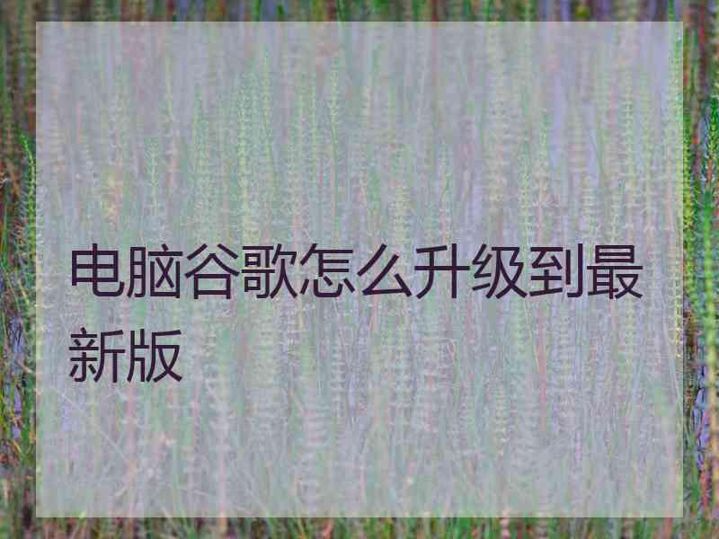 电脑谷歌怎么升级到最新版
