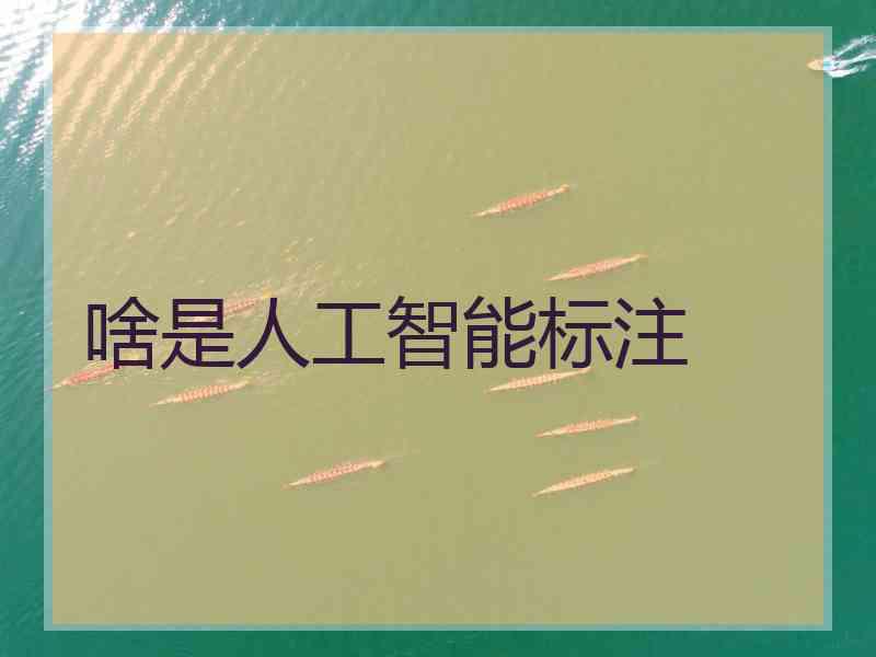 啥是人工智能标注