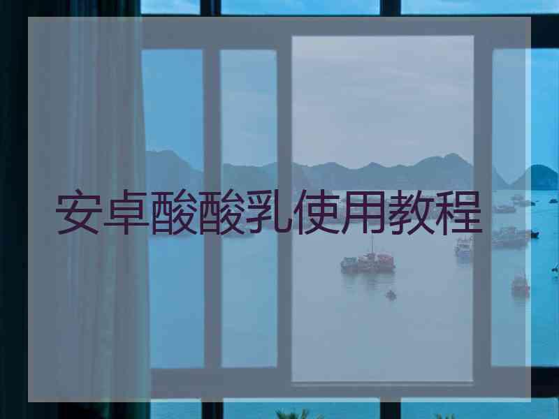 安卓酸酸乳使用教程