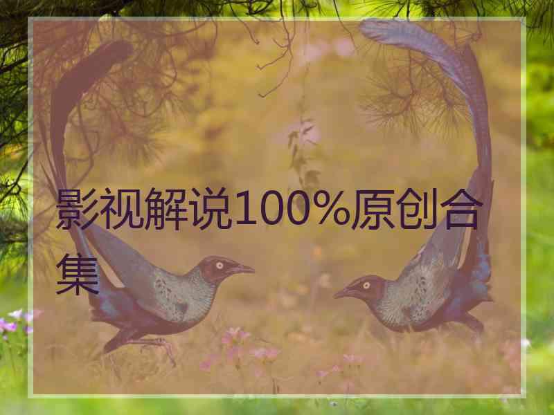 影视解说100%原创合集