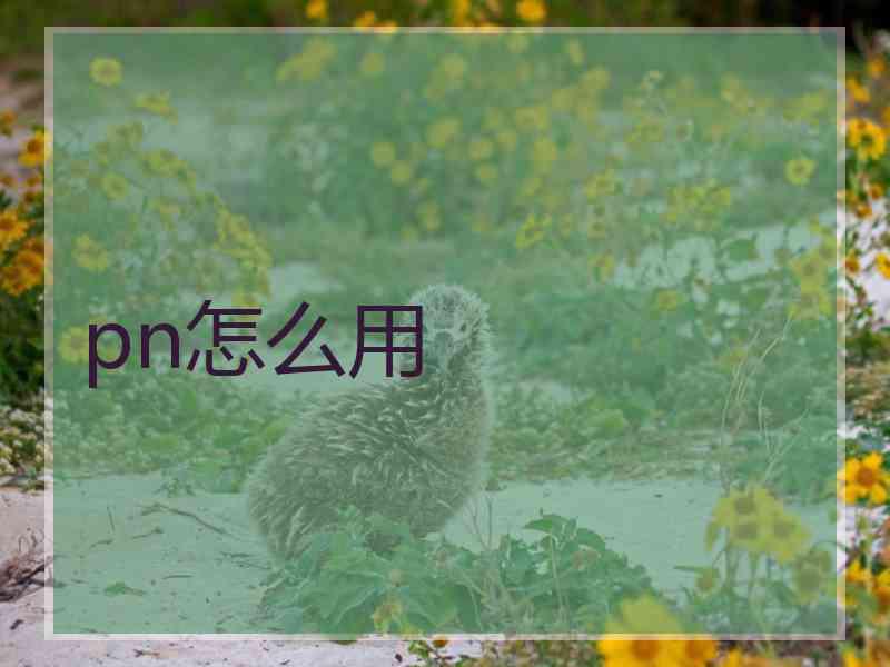 pn怎么用