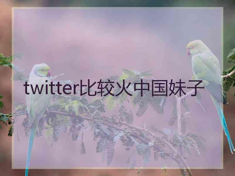 twitter比较火中国妹子