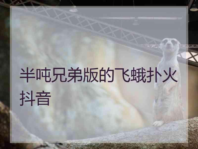 半吨兄弟版的飞蛾扑火抖音