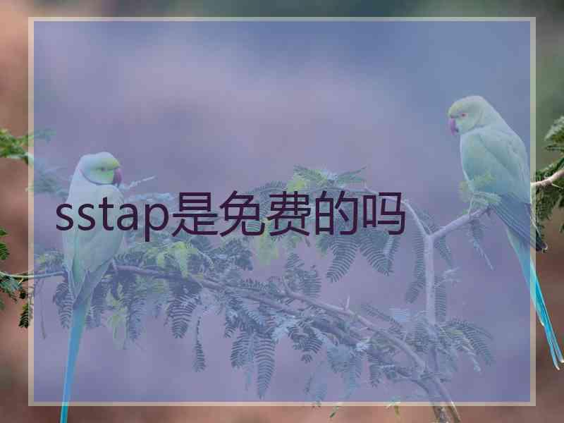 sstap是免费的吗
