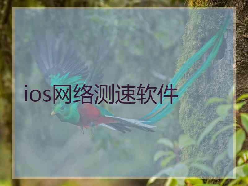ios网络测速软件