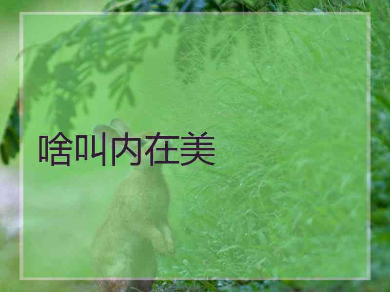 啥叫内在美