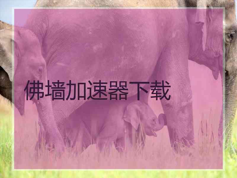 佛墙加速器下载