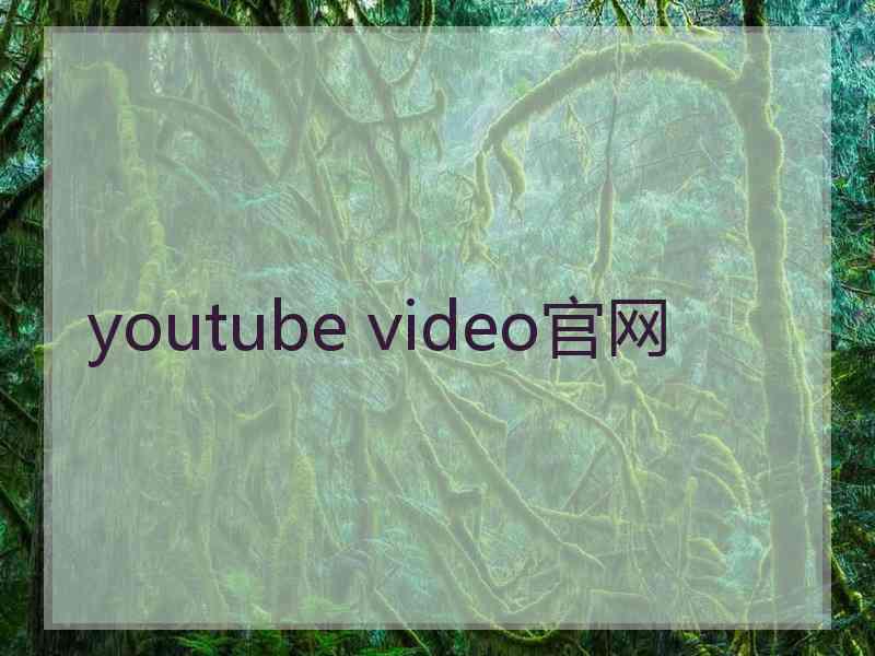 youtube video官网