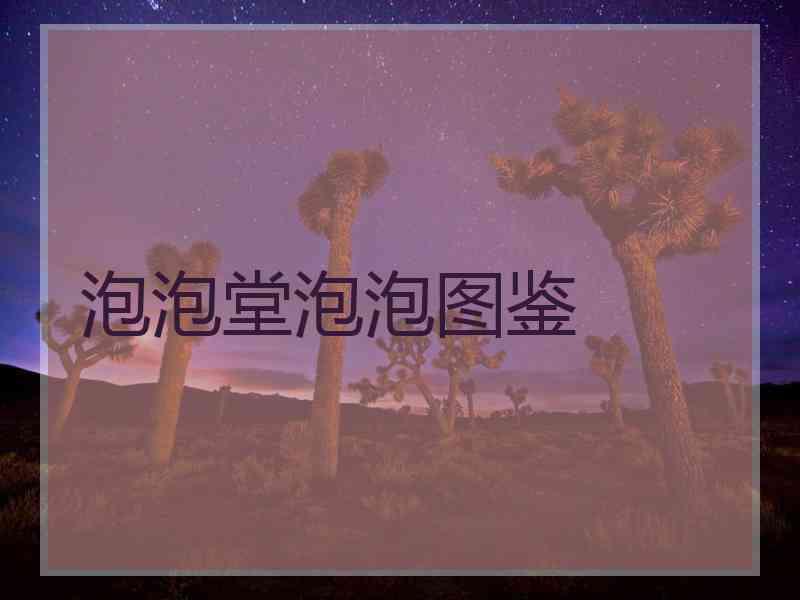 泡泡堂泡泡图鉴