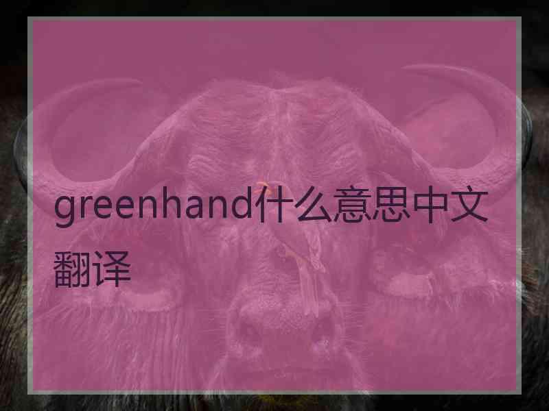 greenhand什么意思中文翻译