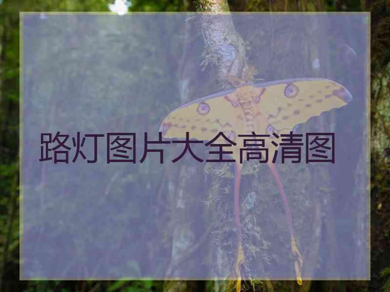 路灯图片大全高清图