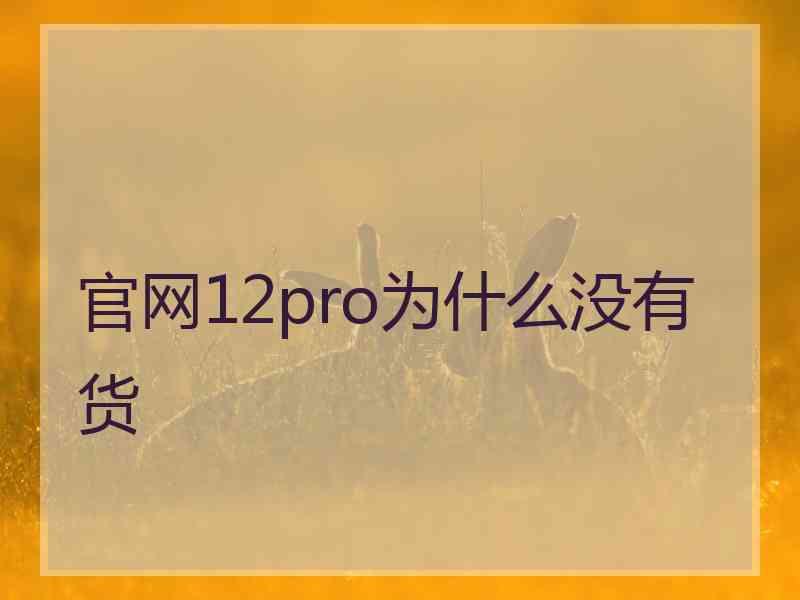 官网12pro为什么没有货