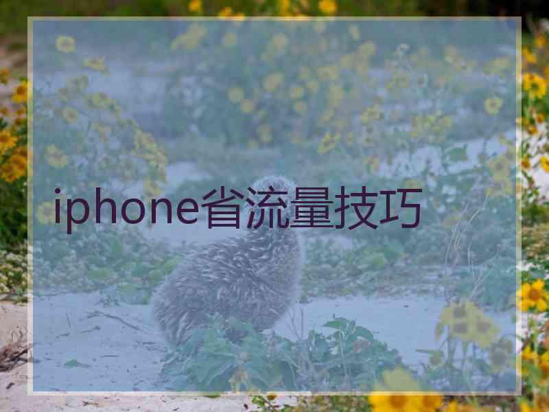 iphone省流量技巧