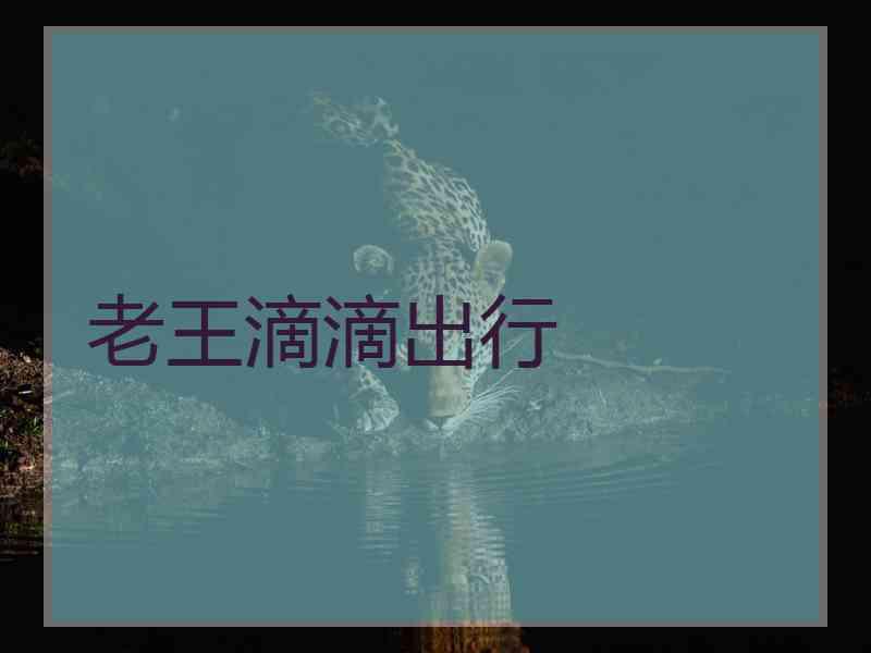 老王滴滴出行