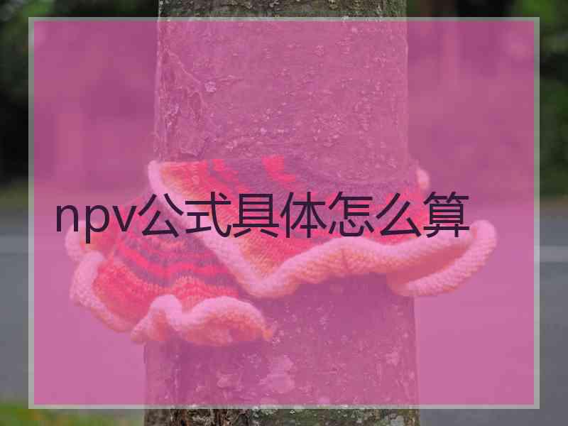 npv公式具体怎么算