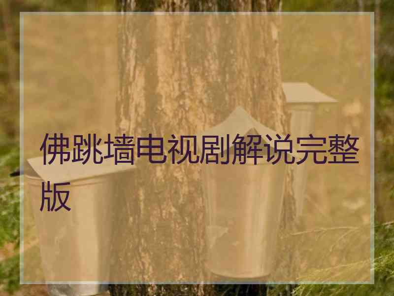 佛跳墙电视剧解说完整版