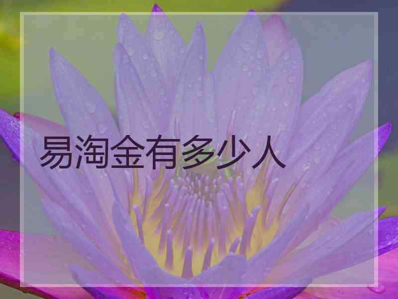 易淘金有多少人